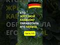 Дача в Германии. Что случилось с кабачком? Трипсы? NEEMÖL нам в помощь