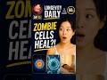 Longevity Daily Day 5 — Zombie Cells Are Actually Running Your Repair Crew