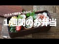 【１週間のお弁当】安くて美味しい！ヘルシー！鶏のささみレシピ5選