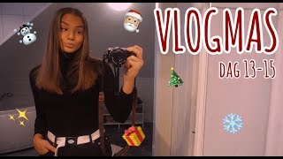 VLOGMAS DAG 13-15:: Julemarked, taco++...