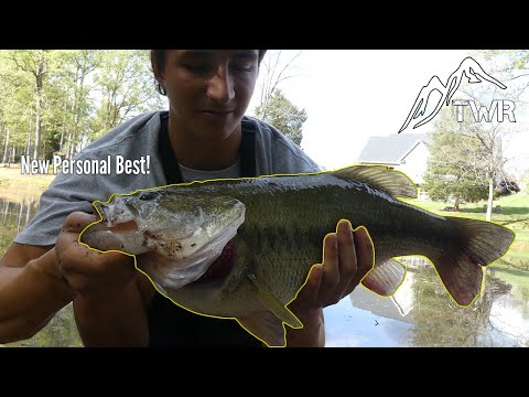 Largemouth Bass - Fishing