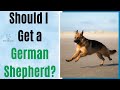 Should I Get a German Shepherd? 8 Things You Should Consider First