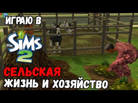 Video: Ինչպես օգտագործել կոդերը SIMS2- ում