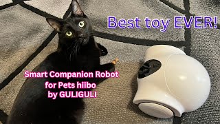 Smart Companion Robot for Pets hiibo by GULIGULI by Ziggy And Zelda 326 views 5 months ago 5 minutes, 5 seconds