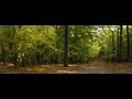 Park Krajobrazowy Wzniesień Łódzkich - film krajoznawczy