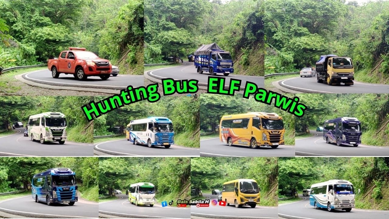 🚌HUNTING BUS  ELF PARIWISATA KEREN🤩DI TIKUNGAN VIRAL PANGANDARAN!🔥