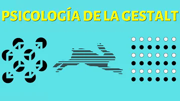 ¿Cuál es el famoso dicho de la psicología de la Gestalt?