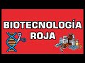 🔴 BIOTECNOLOGÍA ROJA | Biotecnología Humana y sus Aplicaciones