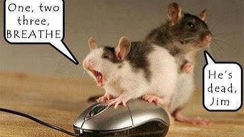 Breathe new life into your old Windows computer by going light