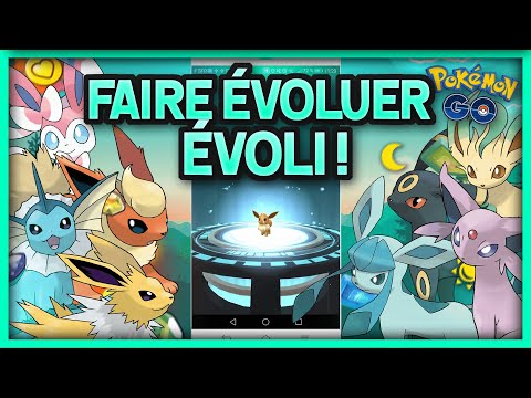 Évolution Evoli Pokémon GO : comment faire évoluer Evoli dans toutes ses  formes ? - Millenium