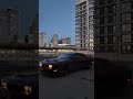 Теперь выгуливаю