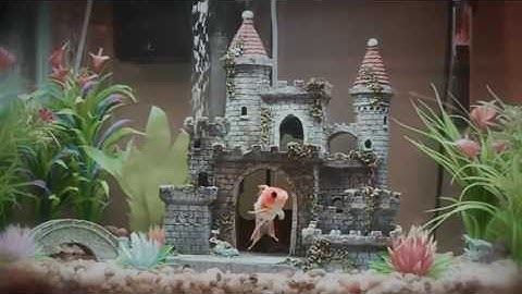 Help to Buy: Shared Ownership