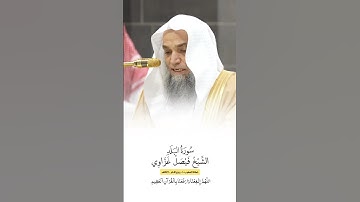 سورة البلد | الشيخ #فيصل_غزاوي
