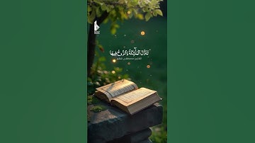 #سورة_القدر #القارئ #مصطفى_شقير
