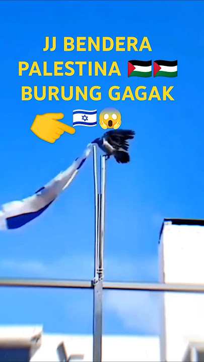 JJ VEBDERA PALESTINA VERSI LAGU MENTARI PAGI 😱🇵🇸🇵🇸😱#shortvideo #ilovepalestina #savepalestina