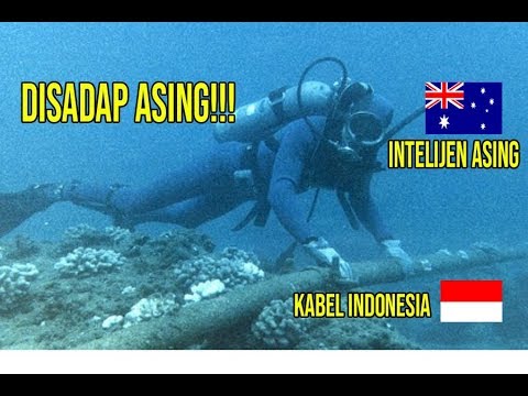 Video: Siapa Yang Membakar Australia? - Pandangan Alternatif