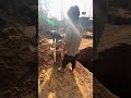 Stop Making These 5 Common Mistakes #shorts #ytshorts #viral #trending #column #construction #civil