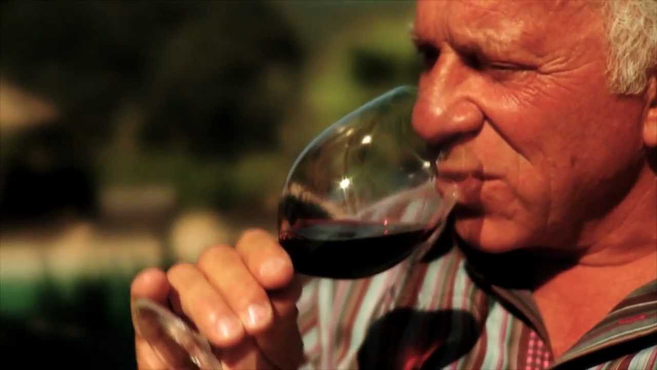 Cellar Angels Presents Maroon Wines YouTube