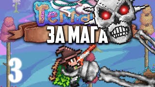 Terraria 1.4 за Мага #3 • Оранжевый Запинатор!