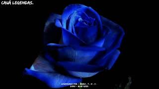 SoMo - Blue Rose // tradução