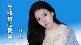 等我真心耗盡 Deng wo zhen xin hao jin 任夏 Ren Xia #動態歌詞 Pinyin/Lyrics Music