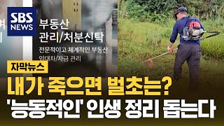 내가 죽으면 벌초는?…'능동적인' 인생 정리 돕는다 (자막뉴스) / SBS