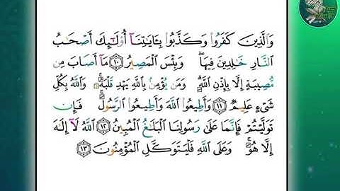 سورة التغابن من ١٠الى ١٣