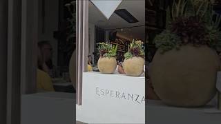 Sonoran Cuisine Modern Mexican Resturant #foodie #shorts #fyp #eating #food #eat #mexicanfood