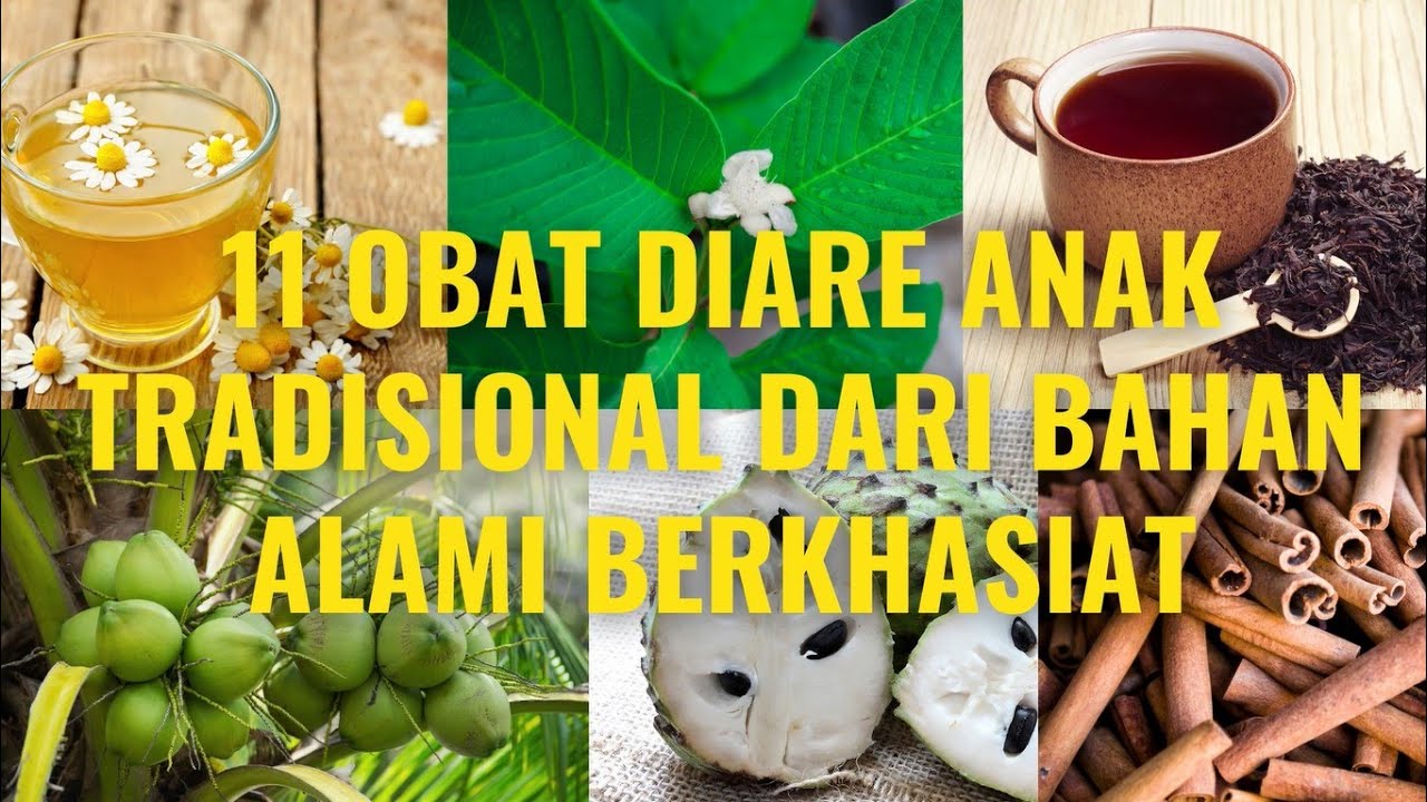 🔥 11 Obat Diare Anak Dari Bahan Alami Tanpa Efek Samping Obat Mencret