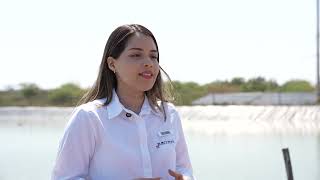 Match Highlights Proyecto "Implementación de sistema energético SOLAR (39kWp) en AGRONORPERÚ"