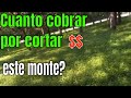 Cuanto  debo cobrar por una propiedad con montes sebrecrecido? Negocio de yarderos.