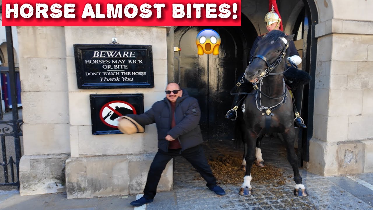 😳SHOCKING! Reckless Tourist INVADES King’s Guard’s Space — Horse Nearly BITES!😱