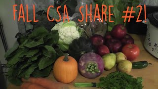What's in our CSA #2 | Kaity Katulka2