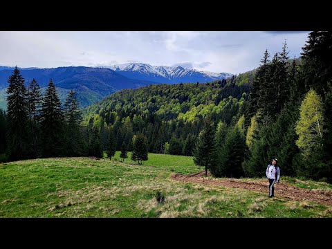 Video: Rezervația alpină Kabardino-Balkar: fotografie, descriere