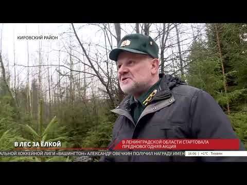 Как выбрать правильную