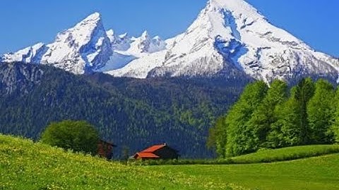 سورة الفيل بصوت مـحمـد البراك