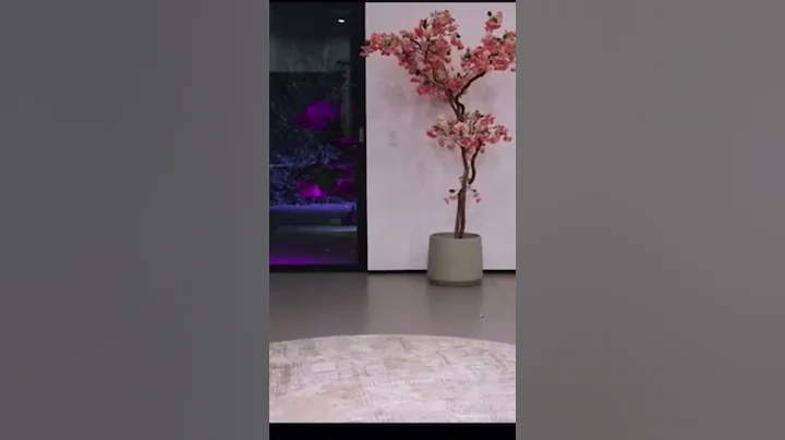 Rolling Ray “you pay $5000 for Reentt” - stan twitter