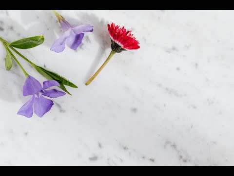 Belles Chansons D Amour En Anglais Musique Anglaise D Amour