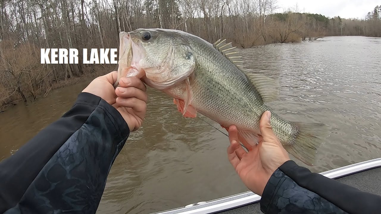 Early Spring Bass Fishing on Kerr Lake