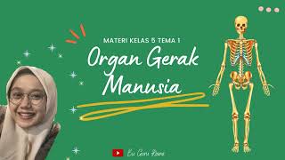 Organ Gerak Manusia | Materi IPA untuk kelas 5 SD Tema 1 Organ Gerak Manusia | Materi IPA untuk kelas 5 SD Tema 1