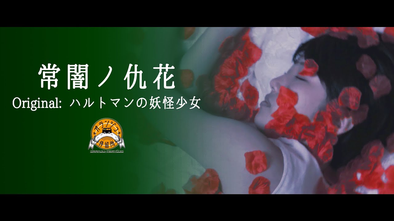 マルチクリエイター、xfd