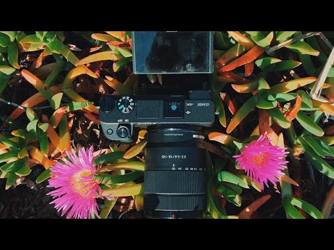 Sony a6400 Review - The Best APS-C Camera So Far