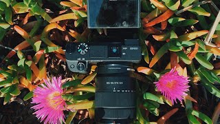 Sony A6400 Review - The Best Aps-C Camera So Far