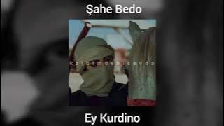 Şahe Bedo - Ey Kurdino (speed up)