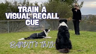 Train a Visual Recall Cue: Deaf Dogs, Aging Dogs, etc...