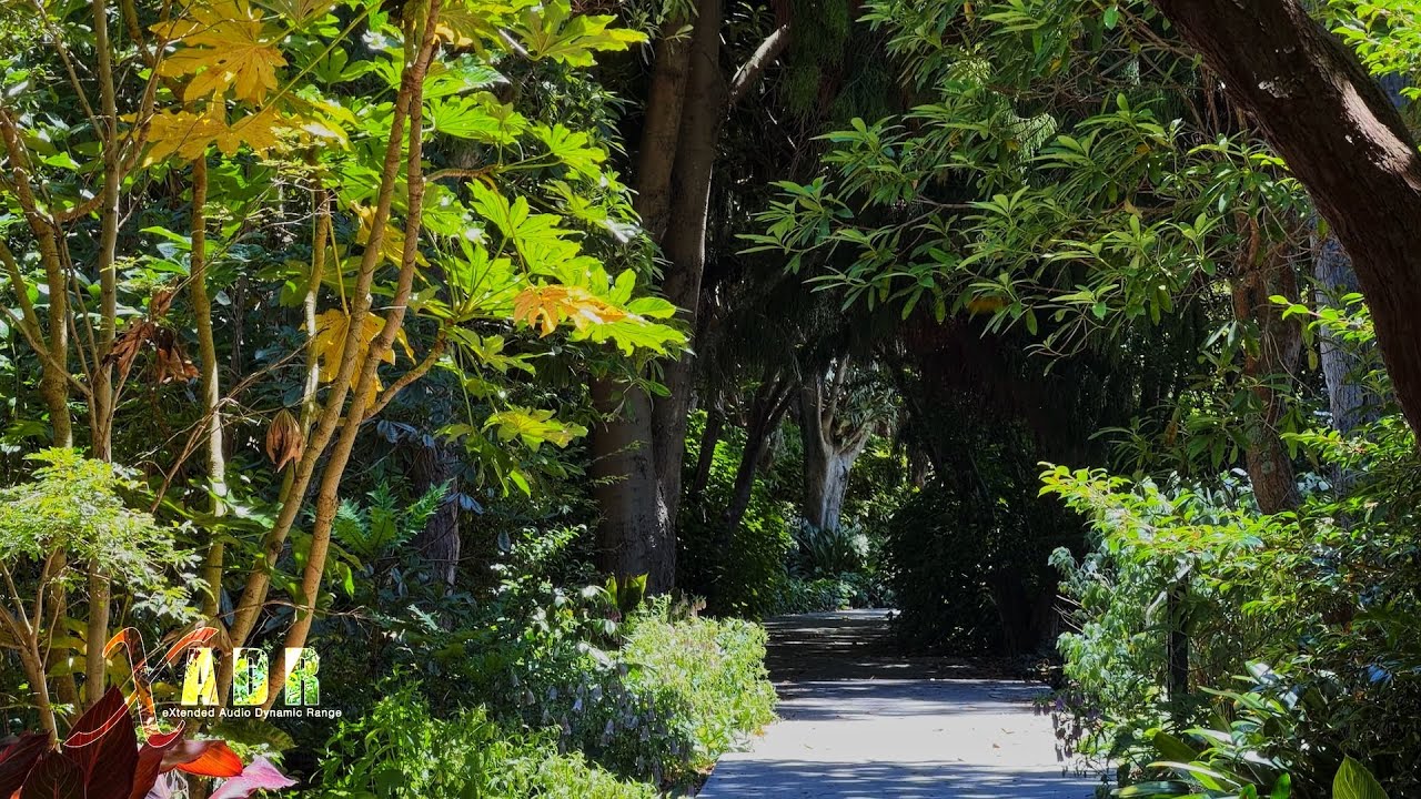 Nature Walk, Esplanade, Palmy Dec 2025