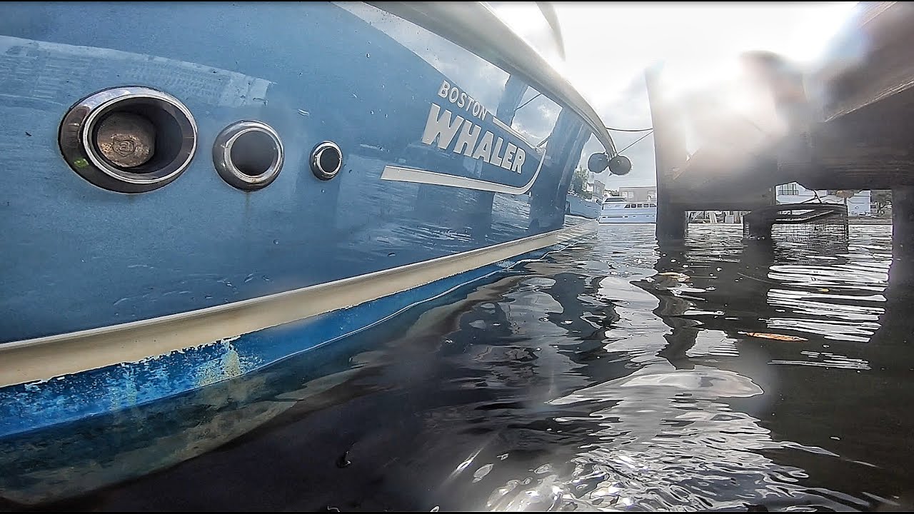 Hull Cleaning 37' Boston Whaler YouTube