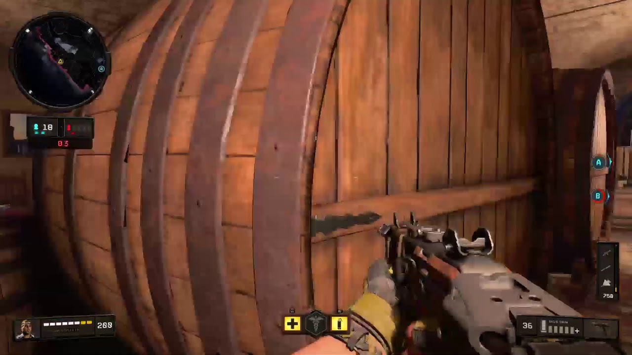 Scrims with SalvationsElite