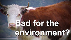 Do Cow Farts Really Significantly Contribute to Global Warming?