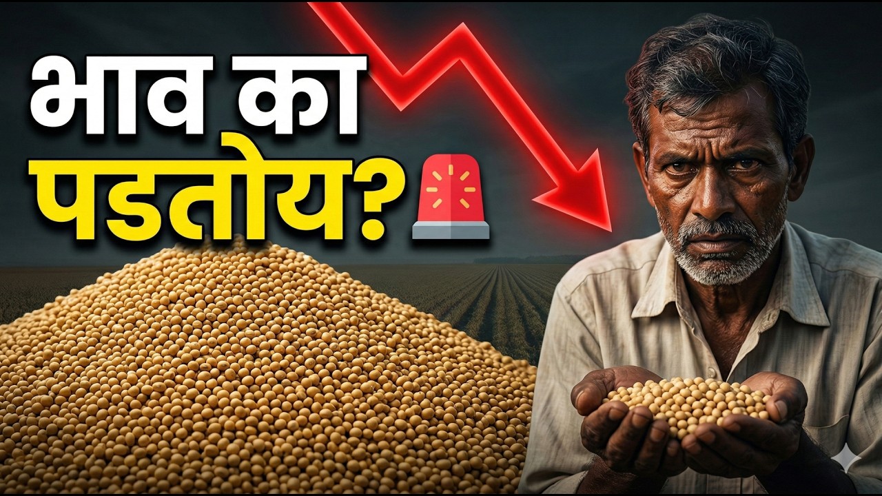 📉 बाजारात प्रचंड आवक! सोयाबीनचे भाव वाढणार की पडणार? | Today Soybean Bajar Bhav